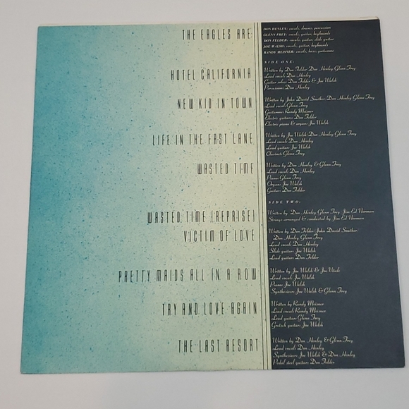 THE EAGLES 1976 Original Hote California Vinyl! - Picture 7 of 10